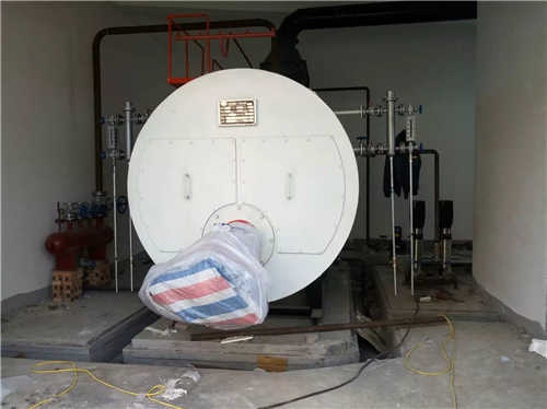 安徽亳州太安堂制藥集團2噸燃氣鍋爐